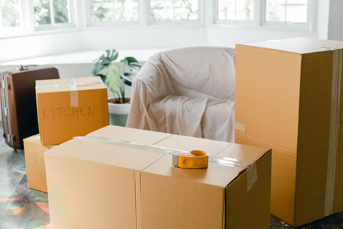 Hoarding Cleanup in Halls, TN